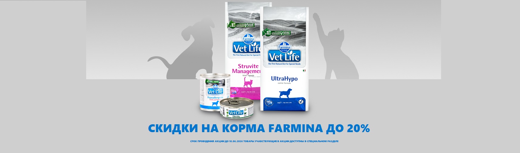 FARMINA HEAD BANNER
